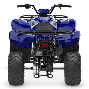 Quad tout-terrain Yamaha Grizzly 110 2025, livraison internationale disponible au meilleur prix - Product Image 6