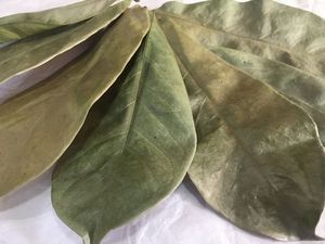 Dried Black <b>Tea</b> Fermented Broken <b>Tea</b> Brew Hot Water Organic Health <b>Tea</b> Non Sugar 50gr <b>Box</b> Packaging EXPAD CO Grade a - Product Image 2
