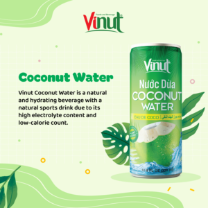 Boisson à l'eau de coco NFC, boisson aux fruits tropicaux, canette en aluminium 330ml, vente en gros VINUT pour les distributeurs - Product Image 4