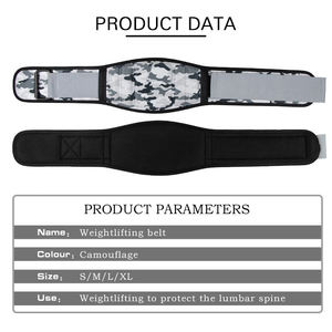Cinturón de Entrenamiento de Cintura para Gimnasio y Levantamiento de Pesas LADYGLOW con Logotipo Personalizado, Neopreno Antideslizante y Cierre de Gancho y Bucle - Product Image 2