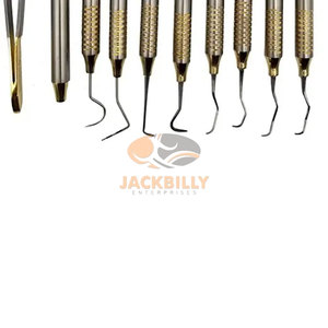 Juego de instrumentos de higienistas dentales de 10 piezas Premium, casete de esterilización de acero inoxidable de alta calidad, Dental de alta calidad - Product Image 4