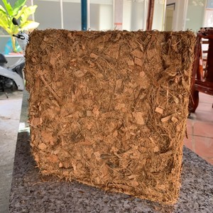 Copeeat-Bloque de copeat de Vietnam, producto de Agricultura, bloque de copeat para vacaciones - Product Image 3