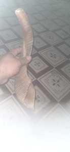 Shofar, cor de shofar, cor de kudu, instrument de musique juif, animal de la famille des bovins - Product Image 2