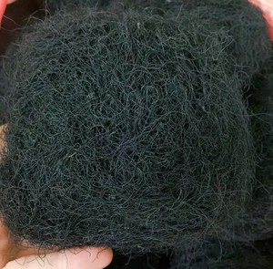 Mousses noires séchées vietnamiennes Fat Choy pour soupe aux herbes Fournisseur en gros - Product Image 3