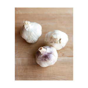 <b>Fresh</b> <b>Garlic</b> Premium Quality Bulk Supply for Wholesale - Product Image 6