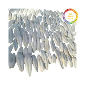 Emballage écologique d'os de seiche du Vietnam pour l'approvisionnement en oiseaux de compagnie, l'utilisation artisanale et les besoins des ateliers créatifs - Product Image 1