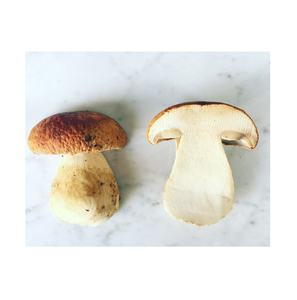 เห็ดพอร์ชินีแบบยุโรปแห้ง50ก. เห็ดคุณภาพสูงอร่อย - Product Image 2