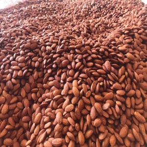 Almendras Orgánicas Premium de Alta Calidad, Venta al Por Mayor a Precios Competitivos, con Cáscara, Secas y Horneadas/En Crudo para Uso Alimentario - Product Image 1