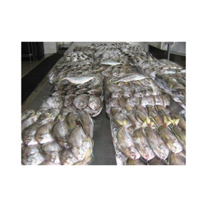 Pescado mantecoso congelado, procesado con cuidado, listo para compras de gran volumen - Product Image 4