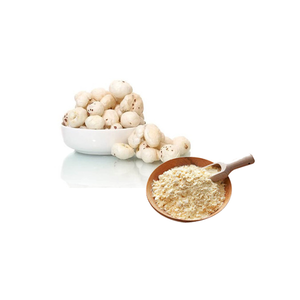 Talmakhana <b>Extract</b> 30% 5:1 And 40% 8:1 Standardized Herbal Powder For Natural Health Support Immunity Energy & Overall Wellness - Product Image 4