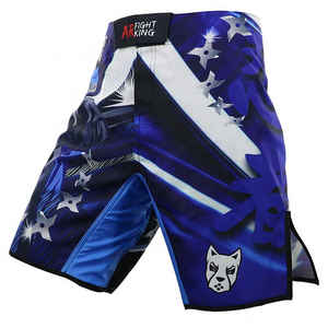 MMA Shorts for Men Fitness Wear Fight <b>Grappling</b> Custom Wholesale with Spandex Heat-Transfer Printed Breathable Quick Dry - Product Image 1