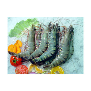 Camarones negros premium ofrecidos a precio de mayorista para los mercados internacionales de mariscos - Product Image 3