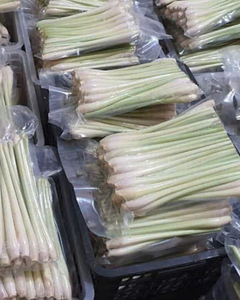 Tiges de citronnelle de qualité supérieure en provenance du Vietnam - Product Image 1