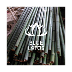 VENTE CHAUDE Disponible Poteaux De Bambou Jaune Écologique Fort Durable Piquets De Bambou Support De Plante pour L'agriculture De Jardin - Product Image 1