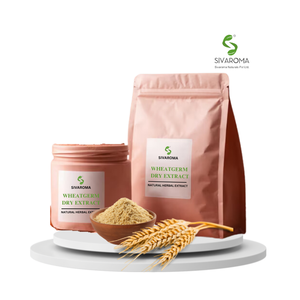 Meilleur prix direct du fabricant pour la quantité en vrac Poudre d'extrait sec de germe de blé de culture sauvage Extrait de plantes de marque privée - Product Image 3