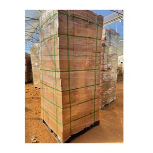 Tourbe de coco de haute qualité Meilleur prix Granulé de tourbe de coco Option alternative pour la planification du Vietnam pour l'exportation De 99GD - Product Image 5