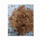 สาหร่าย Eucheuma cottonii แห้งธรรมชาติ100% - Product Image 4