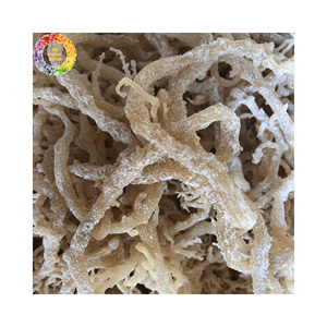 Natural Dried <b>Golden</b> <b>Sea</b> <b>Moss</b> Seaweed, Unsalted Irish <b>Moss</b> for Seamoss Gel, Chondrus Crispus, 25kg Bulk Supply, Wildcrafted - Product Image 6
