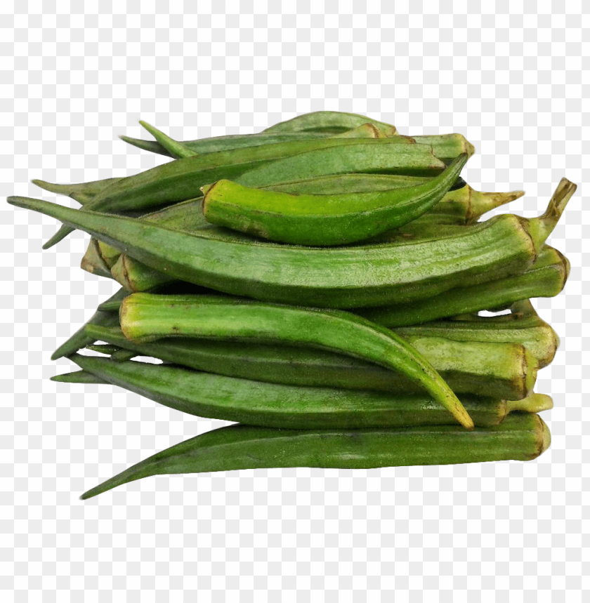 Promoción spanish, Compras online de spanish promocionales, semillas de