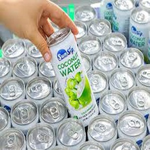 น้ำมะพร้าวหวานบริสุทธิ์พร้อมเนื้อมะพร้าว คัดสรรอย่างพิถีพิถันเพื่อรสชาติที่ดีที่สุดและคุณค่าทางโภชนาการ สดใหม่จากประเทศไทย - Product Image 2