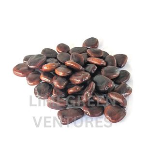 Graines de tamarin indica biologiques (graines Imli) Premium pour la transformation agricole Faits nutritionnels sains Marque Double Langues - Product Image 3
