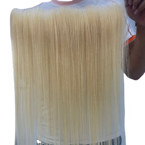 Collection Cloudy Hair Couleur 613 Cheveux Vietnamiens Non-Remy Trame de Peau Frontale Double Trame Faite à la Machine Non Traitée Origine Bac Ninh - Product Image 1