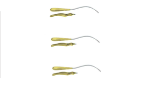 Dentavex Corporation Dissecteur rétracteur frontoglobélar en forme de S de 26,5 cm en acier inoxydable avec poignée ergonomique - Product Image 2