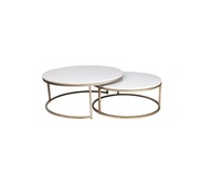 Fantaisie Vente Chaude Chêne PP En Plastique Nouveau Design Centre De Luxe Table pour Salon Café Table D'appoint en Rose Jaune Vert-pour Un Usage Domestique