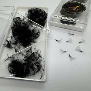 Extensiones de Pestañas Preformadas de Alta Calidad, Acabado Mate Oscuro, 10D 12D 0.03-0.05mm, Curvatura CC/DD/LC/LD, Pedido al por Mayor - Product Image 4