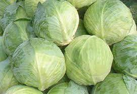 New Crop Chou vert frais du Vietnam Prix de gros livraison rapide - Product Image 2