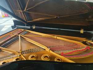 STEINWAY B211 Piano de cola clásico fabricado en EE. UU. - Product Image 5