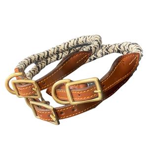 Collier de tête de chien de luxe 3M coton corde 100% coton matériel solide motif cuir Rivet décoration confortable boucle fermeture chien - Product Image 2