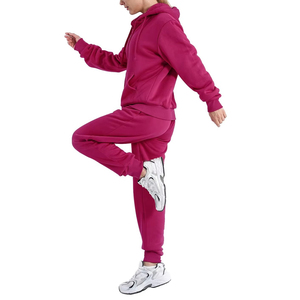 Polyester/Cotton Midweight Casual Breathable <b>Women</b> Tracksuit Zipper Hoodie & Jogger Set Stylish Autumn Winter Warm Two Piece Set - Product Image 2