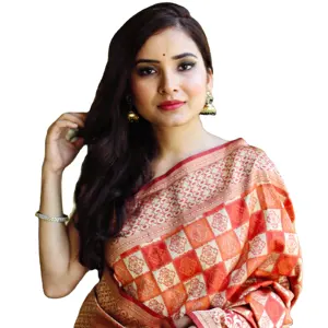 Shree Indian Exports展示高品质面料印度Banarasi风格民族服装纱丽配锦缎女式衬衫