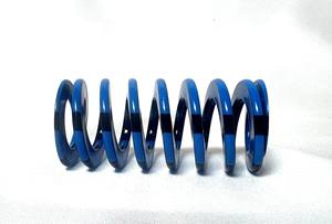 Mollificio Bordignon Die <b>Spring</b> 1S Oval Cross Section with Light Load Capacity Housing : 1/2 Rod : 9/32 Free length : 1 1/4 inch - Product Image 2