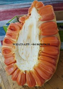 Venta al por mayor de alta calidad precio competitivo Frozen Jackfuit dulce natural vendido entero o pelado de Vietnam - Product Image 5