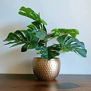 La jardinière décorative en métal de fleurs saisonnières améliore les espaces de vie du jardin et de l'extérieur de la maison - Product Image 4