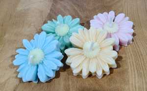 Margarita perfumada flor - Product Image 3