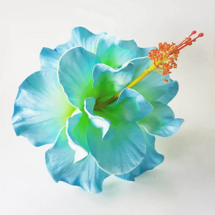 สีฟ้าสีเหลือง