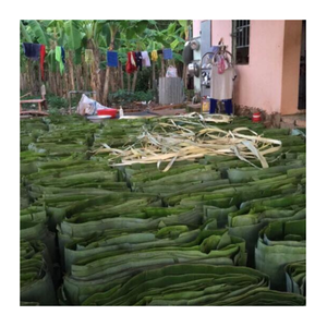 Feuilles de bananier congelées en gros-Feuilles d'emballage de feuilles de bananier naturelles fraîches pour l'exportation, les restaurants et l'industrie alimentaire - Product Image 4