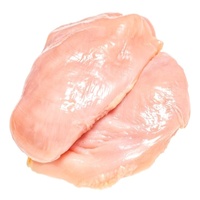 Filet de poitrine de poulet surgelé sans os de qualité supérieure |   Filets de poulet halal de haute qualité, sans graisses trans, en vrac, riches en vitamines, prix compétitifs