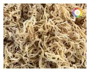 สาหร่ายคอตตอนชนิด Eucheuma เวียดนามสาหร่ายธรรมชาติคุณภาพสูงสำหรับใช้ในอุตสาหกรรมและใช้งานเกรดอาหาร - Product Image 2