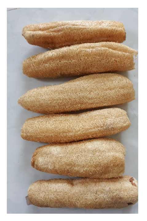 Best Price Natural Luffa - Raw Loofah Sponge From 99 GD Vietnam - Top Products Competitive Market 2024 for Export