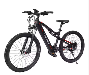 Bicicleta Eléctrica de Montaña para Adultos, 48V 23AH 1000W, Superventas - Product Image 1