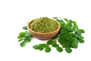 ผงสกัดมะรุม (Moringa Oleifera) วัตถุดิบสมุนไพรเพื่อสุขภาพ ผู้ผลิตและจำหน่ายแบบ OEM และขายส่งจากอินเดีย - Product Image 5