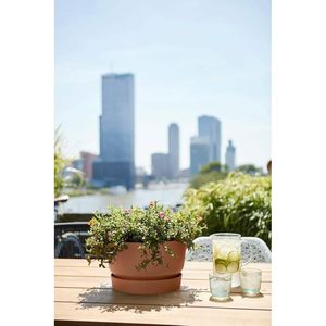 Lot de 2 <span class=keywords><strong>pots</strong></span> et jardinières d'extérieur <span class=keywords><strong>Elho</strong></span> Greenville Bowl 33, couleur gingembre, 32,5 x H 19,4 cm - Product Image 4