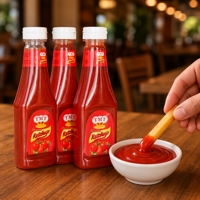 340g Squeeze Bottle Tomato Ketchup Sauce Factory Direct Halal Seasoning Table Condiment for Wholesale