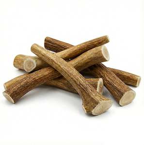 Cuernos de Ciervo Rojo Naturales de Primera Calidad - Product Image 1