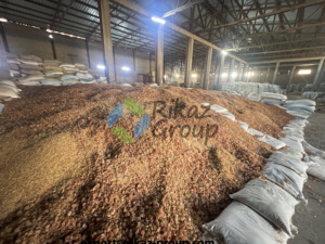 หมากฝรั่งอาหรับผลิตภัณฑ์การเกษตร - Product Image 5