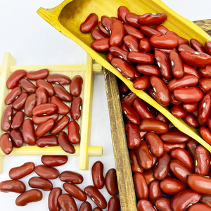 High Quality Red Kidney <b>Beans</b> Cleaned and Sorted for Export - Product Image 4